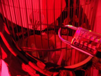 E-exit Escape Game